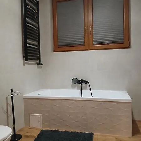 Dom Pod Wierzbami Villa Sidzina
