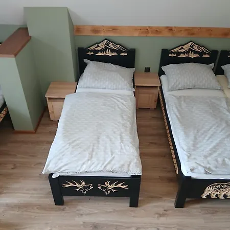 Dom Pod Wierzbami Villa Sidzina